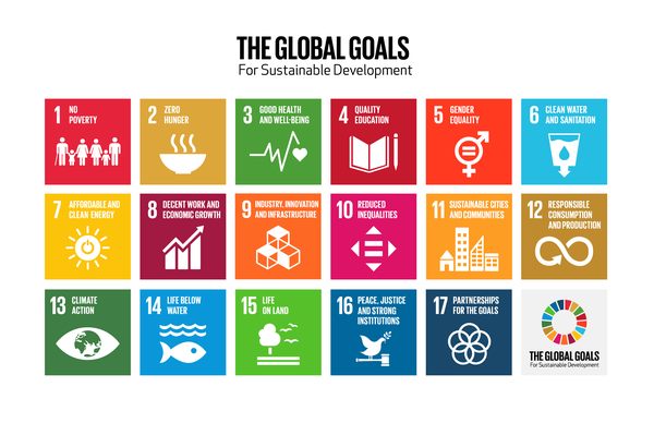 the global goals grid color.png